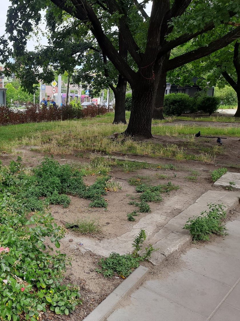 Skwer u zbiegu ulic Pomorskiej i św. Wincentego