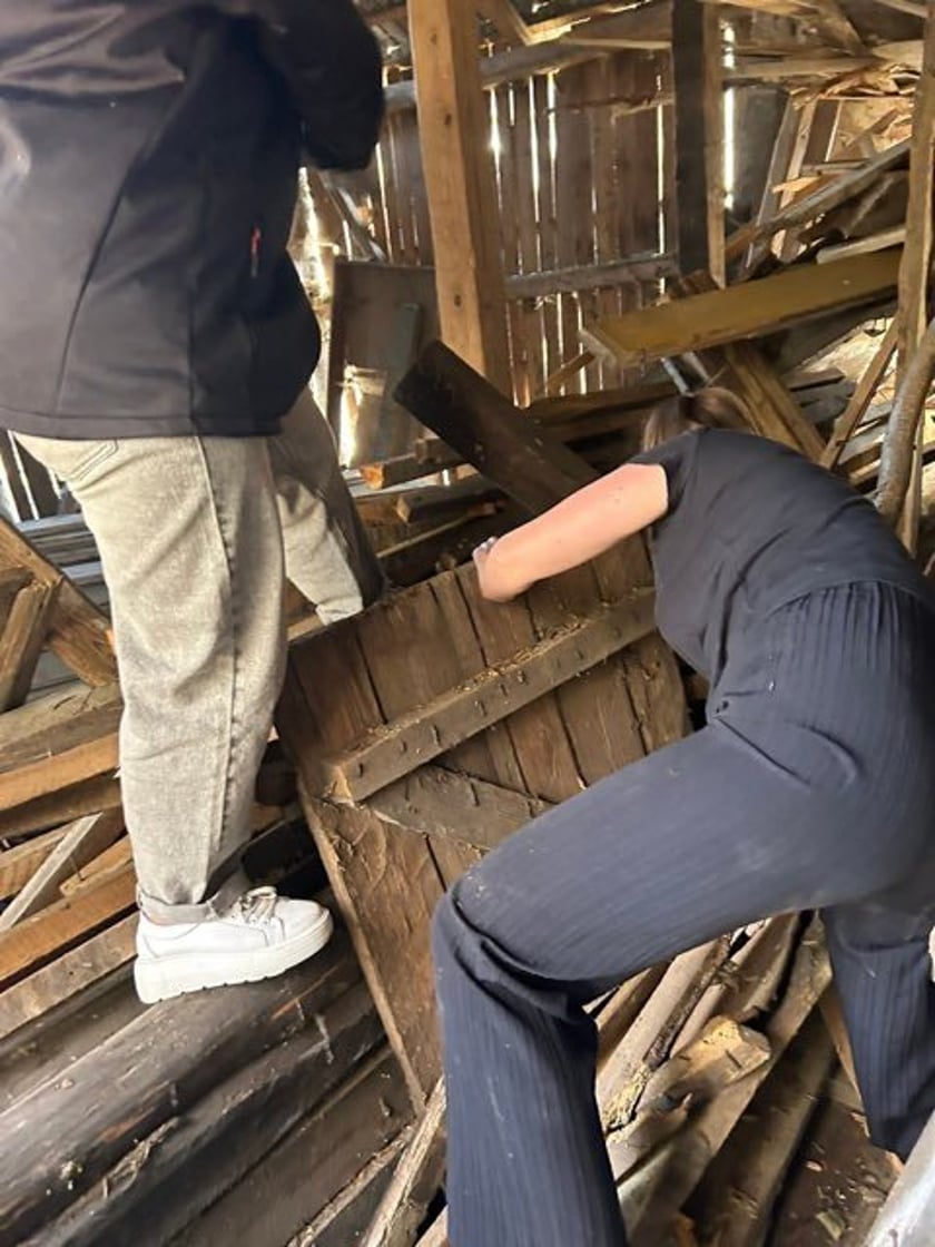 <p>Barak, w kt&oacute;rym szczeniaki przyszły na świat</p>