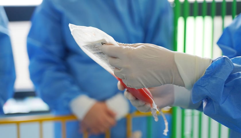 Przeszczep szpiku w Klinice Transplantacji Szpiku, Onkologii i Hematologii Dziecięcej  USK we Wrocławiu