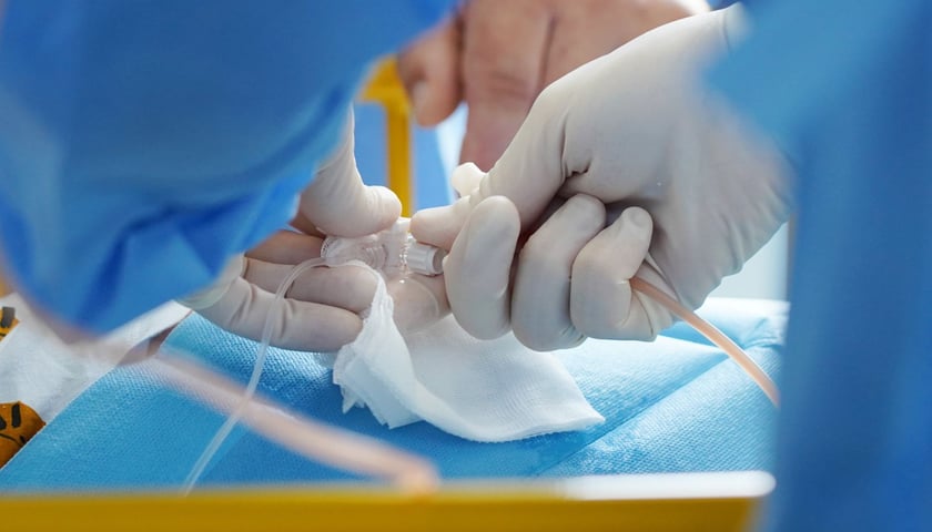 Przeszczep szpiku w Klinice Transplantacji Szpiku, Onkologii i Hematologii Dziecięcej  USK we Wrocławiu
