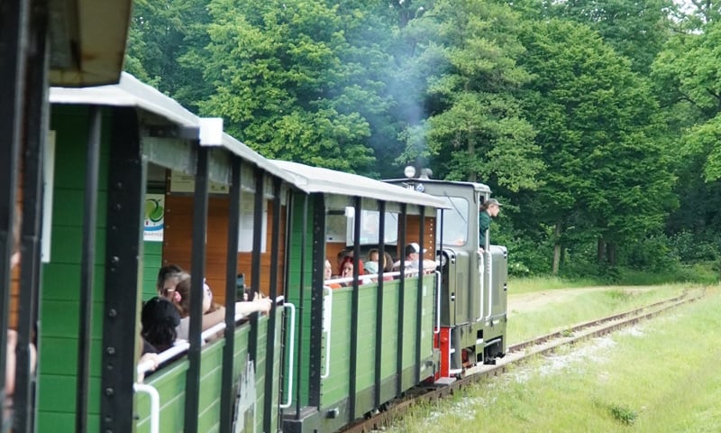 Kolejka w Krośnicach