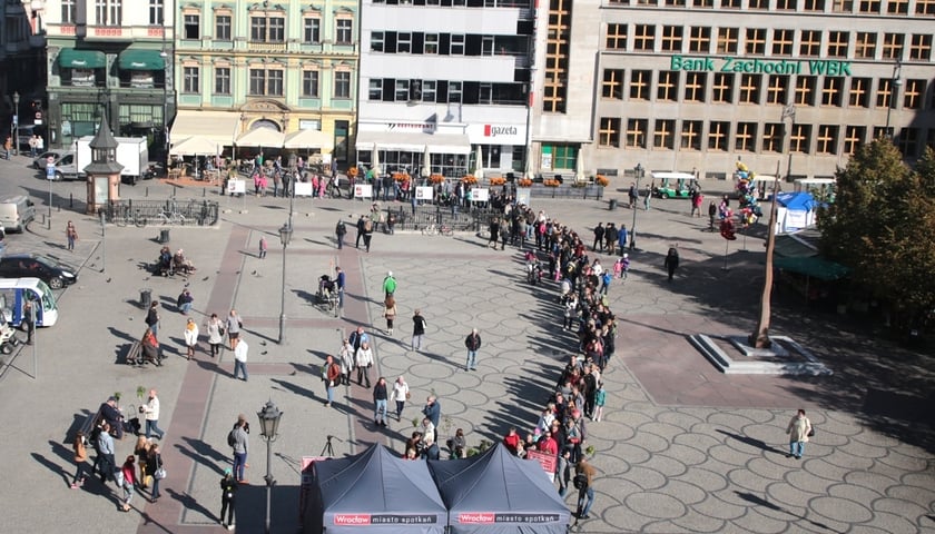 Tłumy wrocławian zgłosiły się po drzewka [ZDJĘCIA]