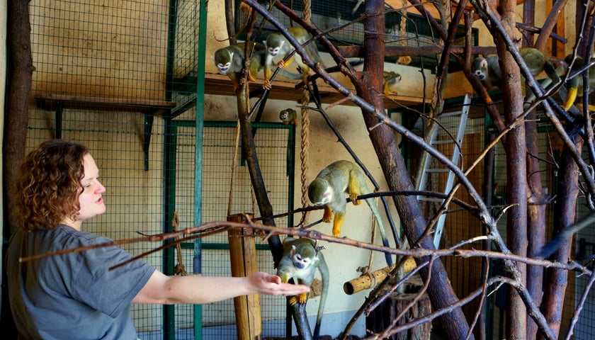 Wielkie liczenie w zoo zakończone