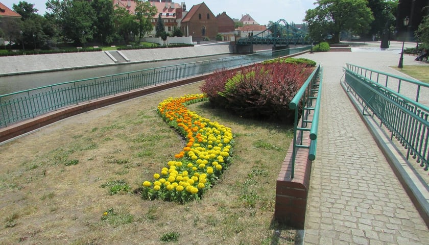 W Parku Kulturowym jeszcze bardziej zielono