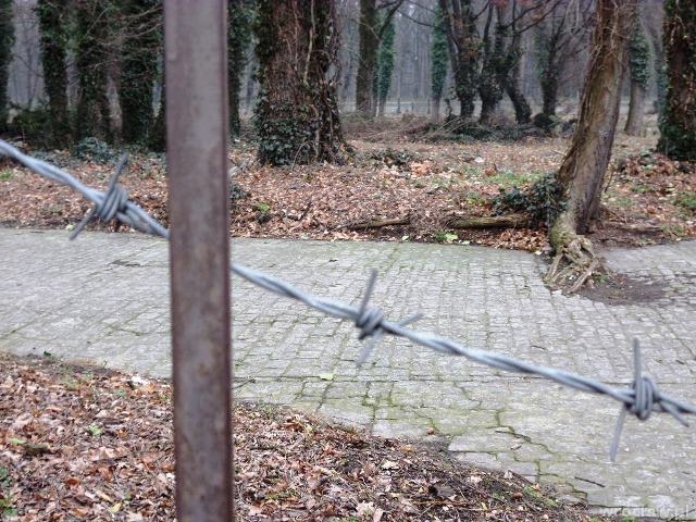 Kozanów – pejzaż niejednoznaczny (cz. II)