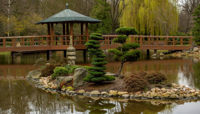 Podczas jednej z wycieczek można zwiedzić park Japoński