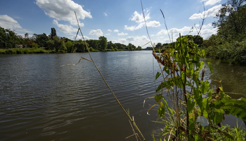 Odra jest zatruta, zachowaj szczególną ostrożność