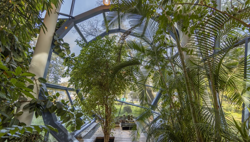 Herbarium. Muzeum Przyrodniczego Uniwersytetu Wrocławskiego