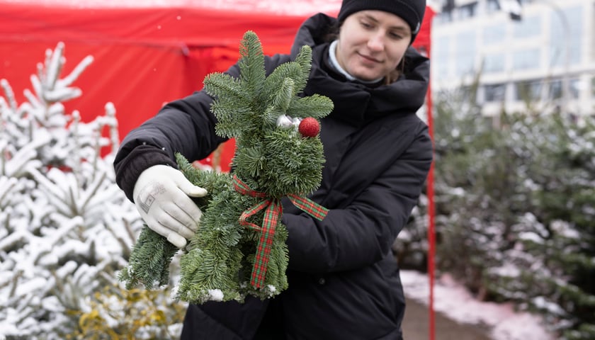 Renifer wykonany z choinkowych gałęzi
