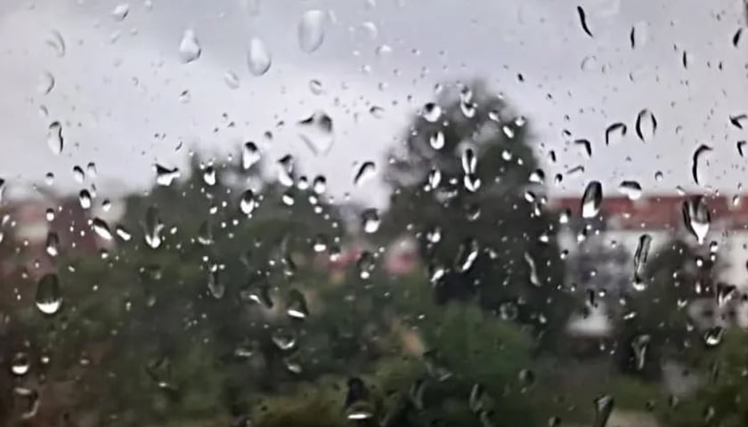 Na zdjęciu: krople deszczu
