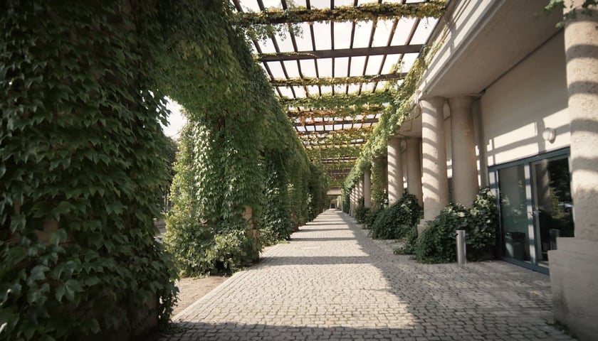 Pergola przy Hali Stulecia