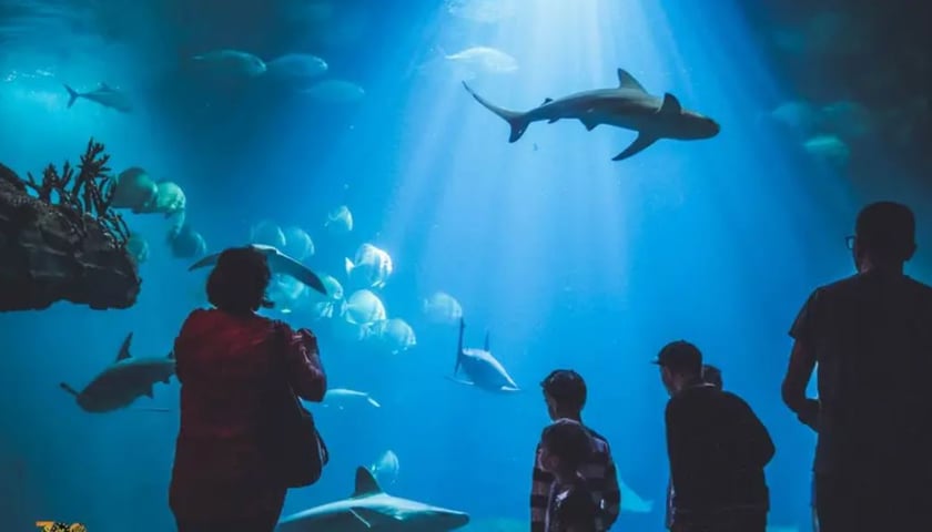 Na zdjęciu: Afrykarium w Zoo Wrocław