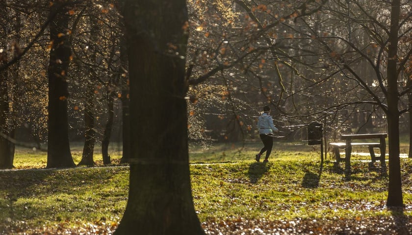 Na zdjęciu kobieta biegająca w Parku Wschodnim