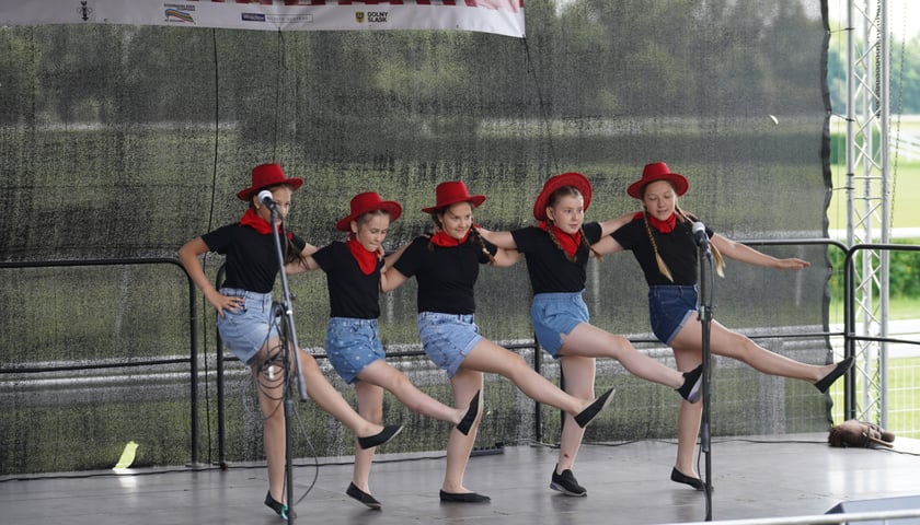 XI Piknik Olimpijski Wrocławia i Dolnego Śląska na Torze Wyścigów Konnych  - Partynice