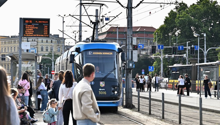 Linia nr 12 to stare 33. Kursuje w relacji Sępolno - Kozanów.