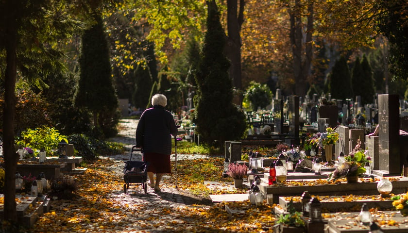 Seniorka idąca cmentarną alejką przy grobach (zdjęcie ilustracyjne)