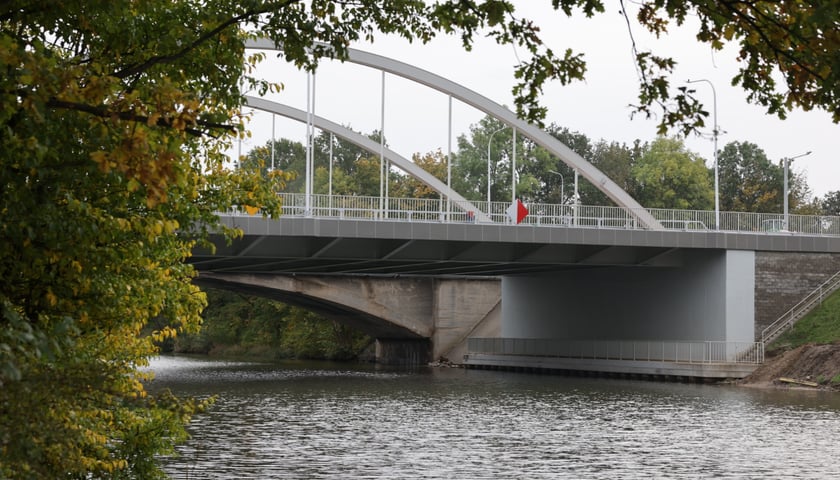 Fragment nowych mostów Chrobrego widziany zza drzewa