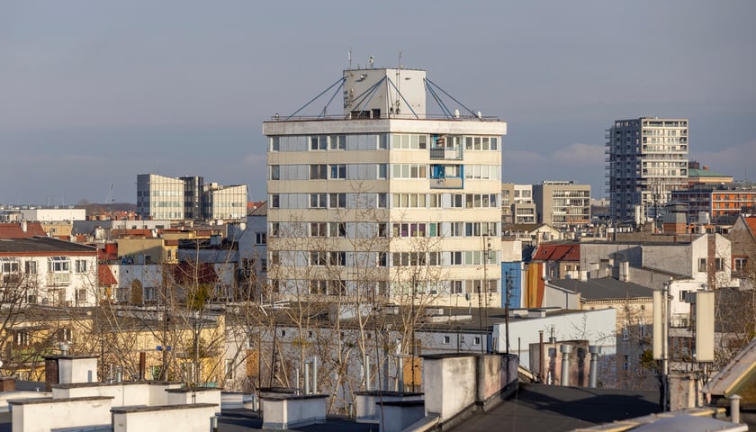 Trzonolinowiec we Wrocławiu