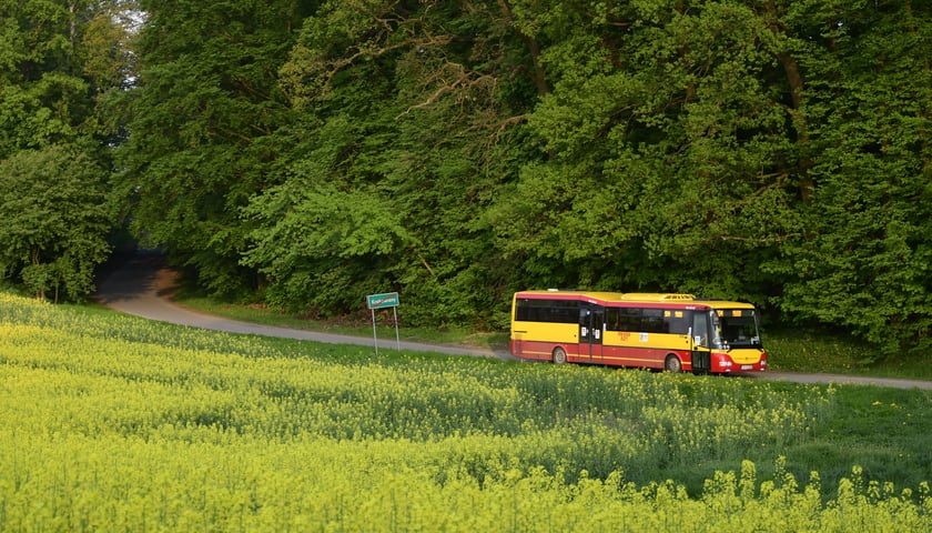 Autobus kursujący po aglomeracji wrocławskiej. 