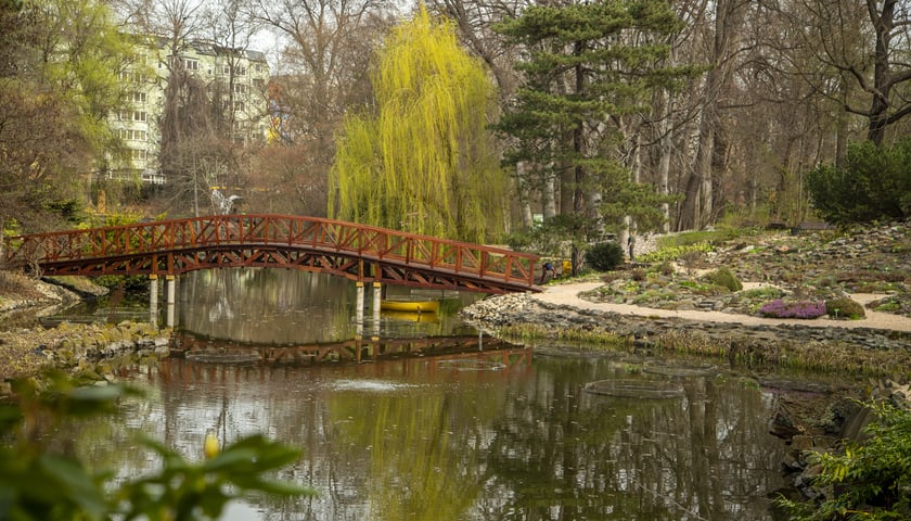 <p><strong>W Ogrodzie Botanicznym Uniwersytetu Wrocławskiego można podziwiać prawie 12 tysięcy roślin.</strong><span>&nbsp;</span><span>Organizowane są tam również wydarzenia dla miłośników przyrody, warsztaty dla dzieci i festiwale.</span></p> <p><a href="htps://www.wroclaw.pl/dla-mieszkanca/co-na-wiosne-we-wroclawiu">Sprawdź, jakie atrakcje czekają wiosną na mieszkańców Wrocławia.</a></p>