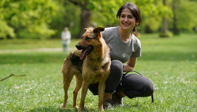 Magdalena Tkacz z Fundacji Centaurus z psem podczas Pikniku Adopcyjnego Fundacji Centaurus w parku Południowym