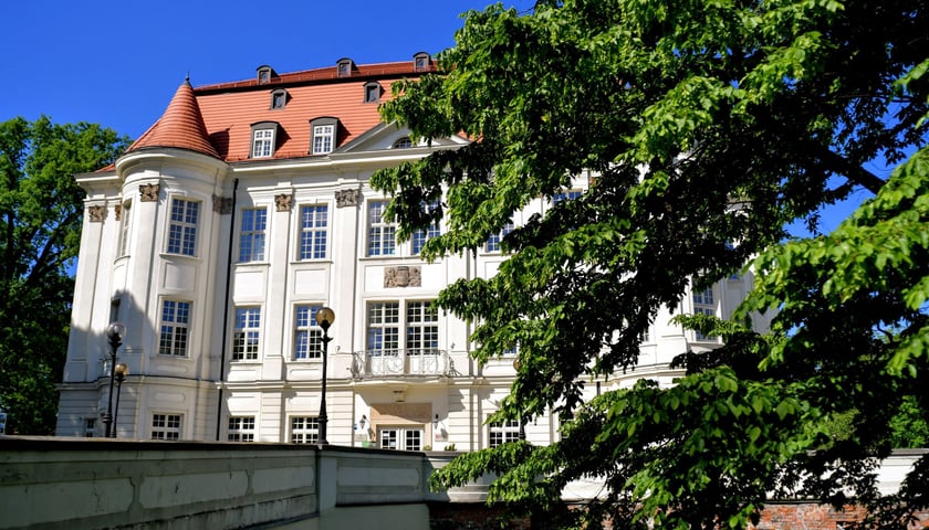 Zamek w Leśnicy