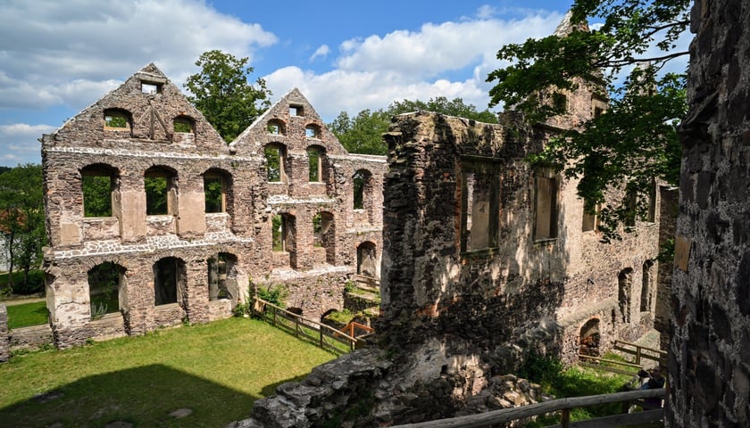 Zamek Świny