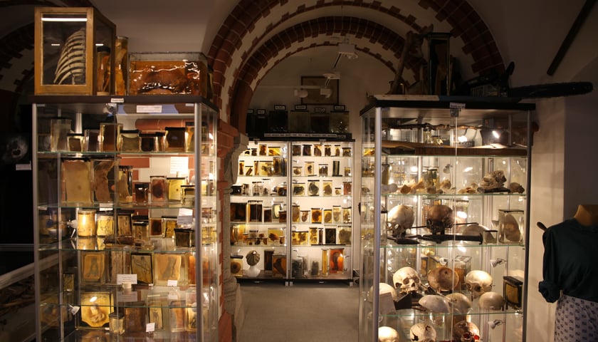 Muzeum Medycyny Sądowej we Wrocławiu, ekspozycja