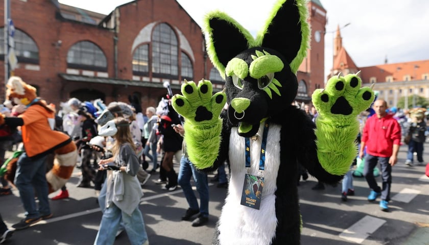Wrocławski Furwalk 2024