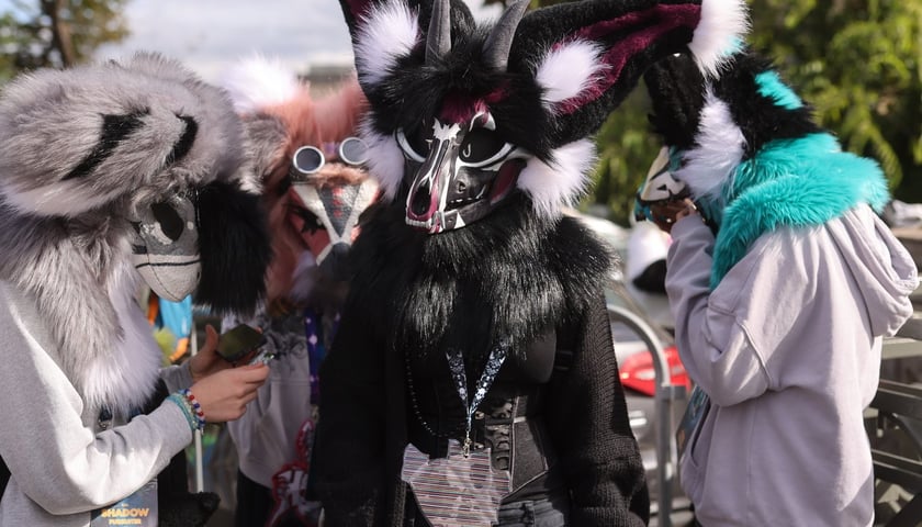 Wrocławski Furwalk 2024