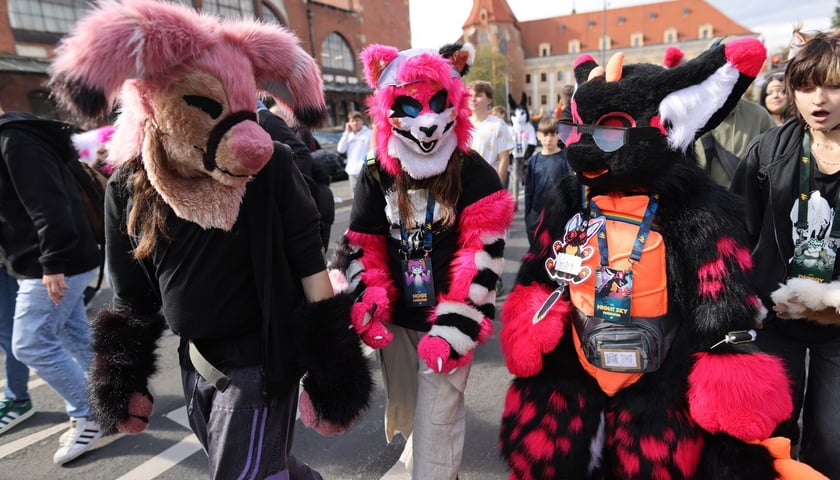 Wrocławski Furwalk 2024