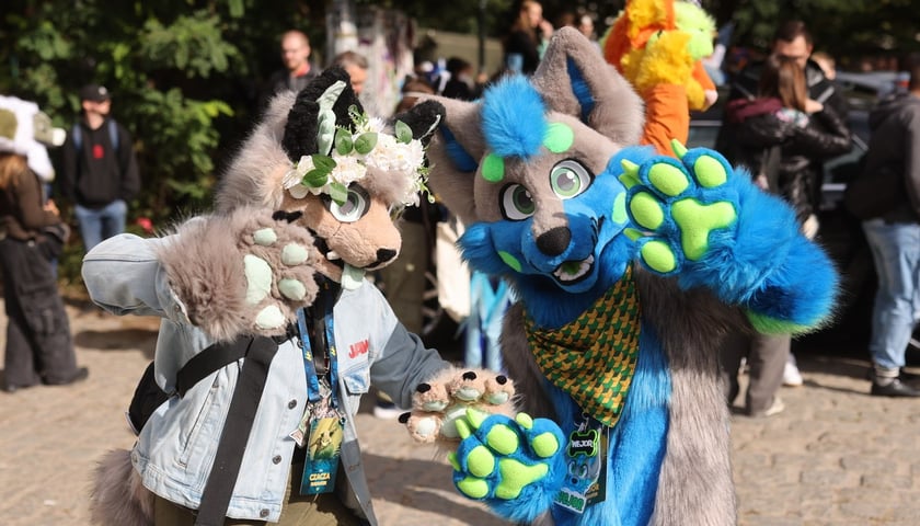 Wrocławski Furwalk 2024 i jego uczestnicy
