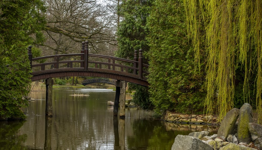 We wrocławskim Ogrodzie Japońskim znajdziemy oryginalną roślinność, ryby oraz detale architektoniczne rodem z Japonii.