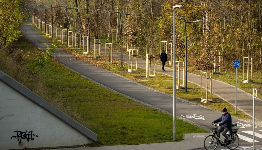 Promenada Krzycka to trasa, z której mogą korzystać zarówno rowerzyści, jak i piesi