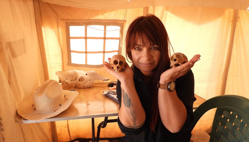 <p>Dr hab. Marta Osypińska, archeozoolog z Uniwersytetu Wrocławskiego. Kieruje międzynarodowym projektem Nie-ludzie w społeczności Berenike. Dane archeozoologiczne w dyskursie dotyczącym tożsamości i wartości w antyku</p>