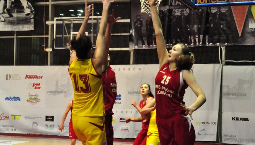 Kolejne zwycięstwo Ślęzy