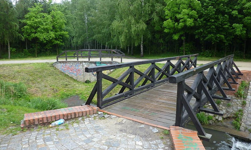 Nowa ścieżka biegowa we Wrocławiu