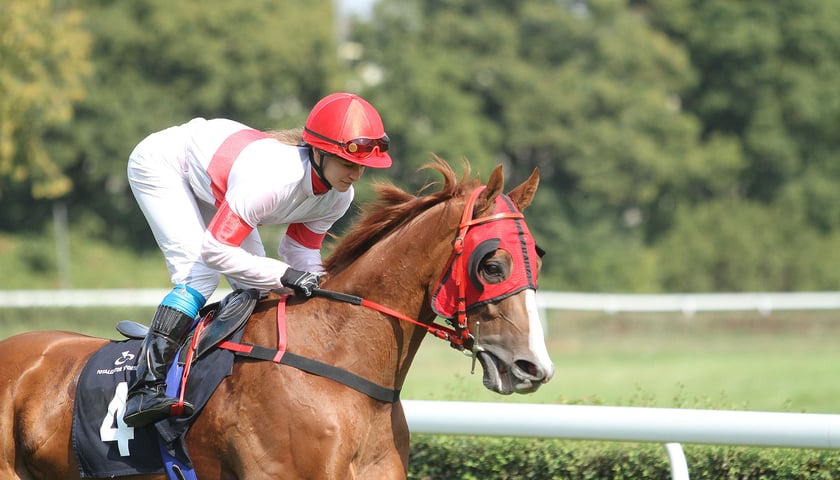 Elpada wygrała w memoriale [ZDJĘCIA]