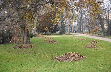 Przygotowania do zimy