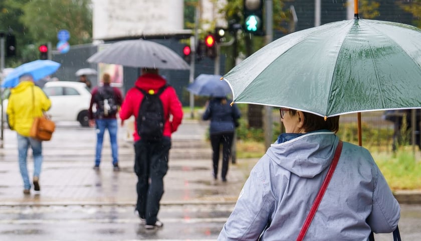 Ulewa we Wrocławiu, ludzie z parasolami. Zdjęcie archiwalne, ilustracyjne