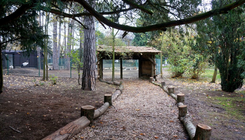 Nowy wybieg dla żurawi w ZOO (ZDJĘCIA)