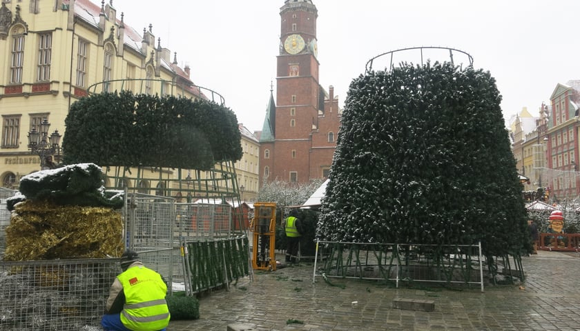 Choinka pnie się do góry