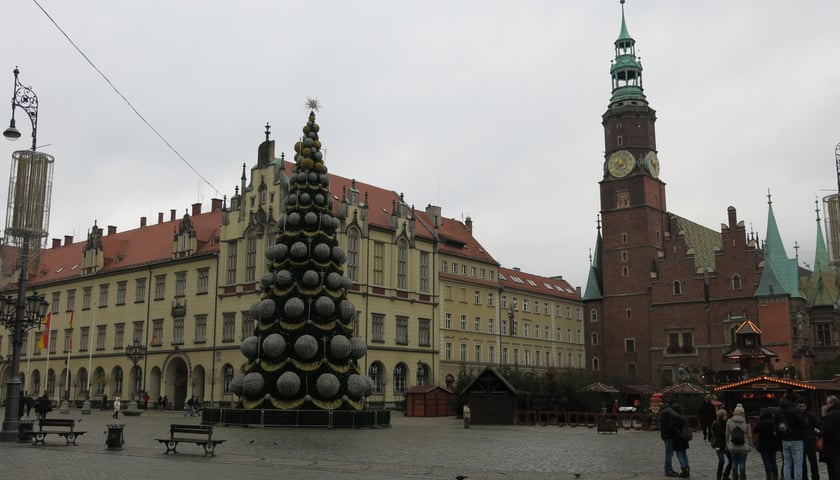 Czeka na Świętego Mikołaja