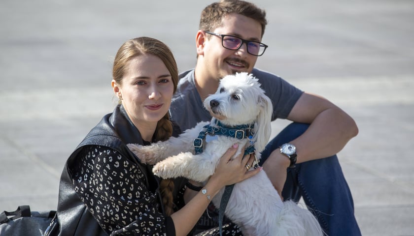 Uczestnicy parady psów z roku 2022