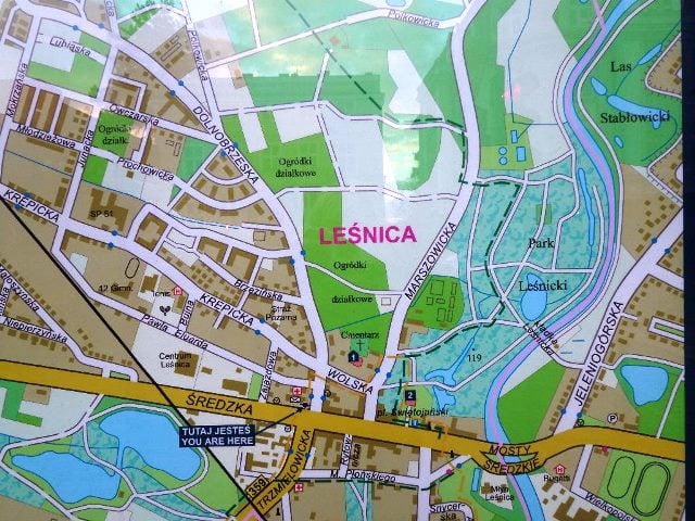 Leśnica tajemnicza jak Mona Lis(s)a (cz. I)