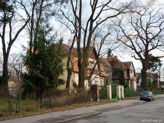 Leśnica tajemnicza jak Mona Lis(s)a (część II)