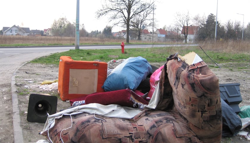 Wiosenne „porządki”