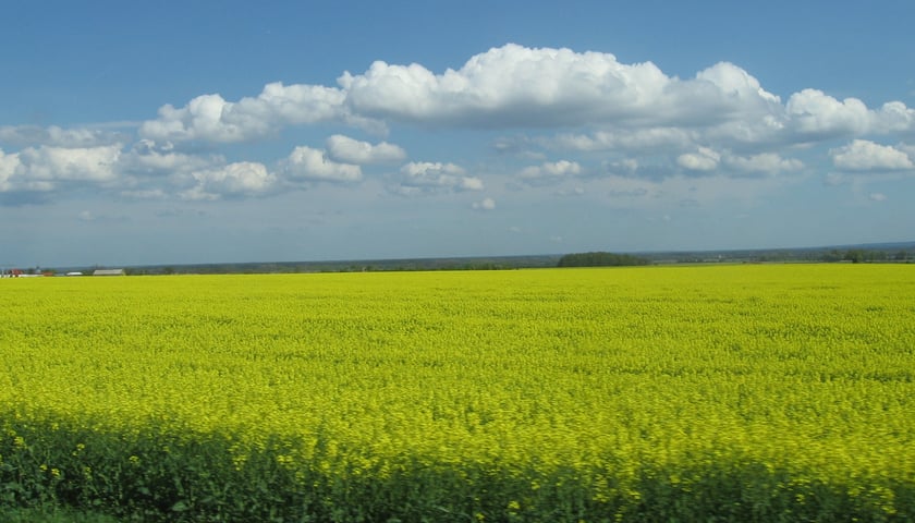 Ostatni dzwonek dla rolników z Wrocławia