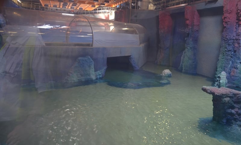 Afrykarium-Oceanarium: Przybywa wody i dekoracji