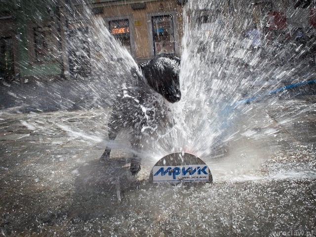 Ufff, jak gorąco! We Wrocławiu ponad 30 stopni! [WIDEO]